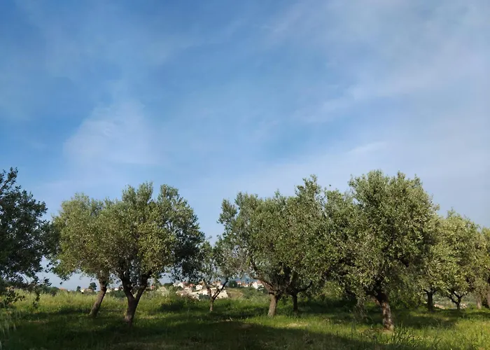 Vista La Majella * קייטי